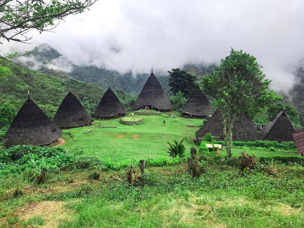 Komodoku One Love Homestay And Tour Labuan Bajo Εξωτερικό φωτογραφία